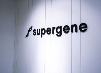 글로벌 캐주얼 게임 QA